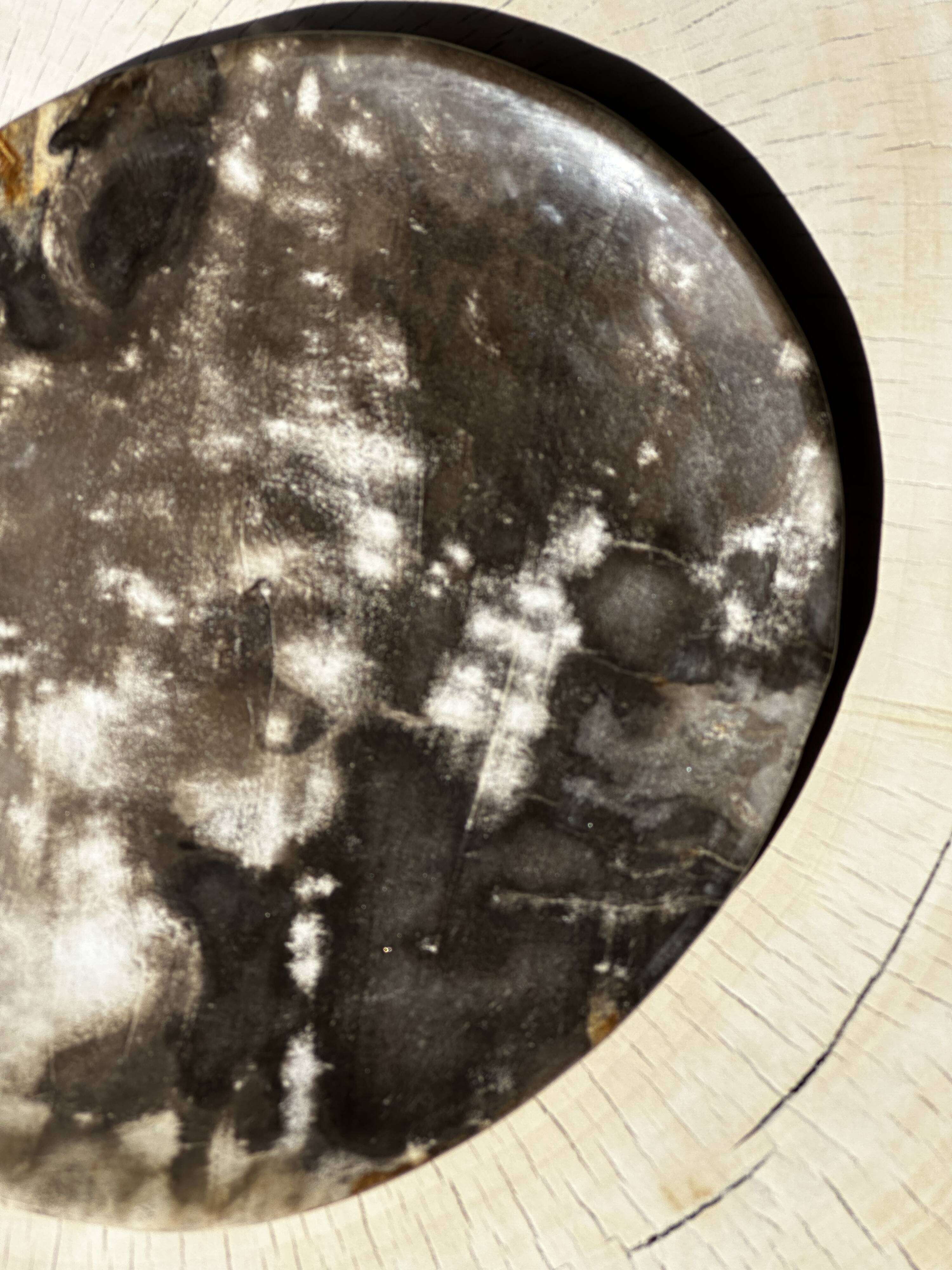 Medium petrified wood dish or pocket emptier, predominantly gray 1137