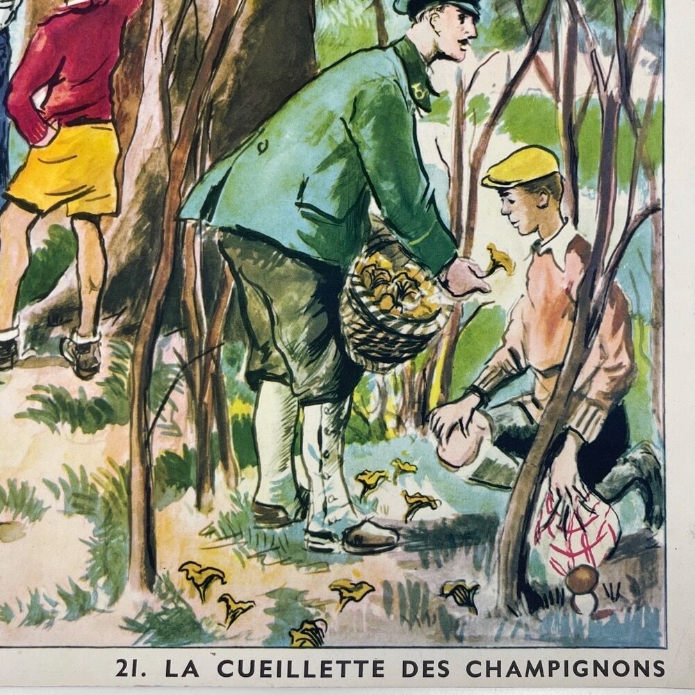 Rossignol poster A wounded comrade and mushroom picking