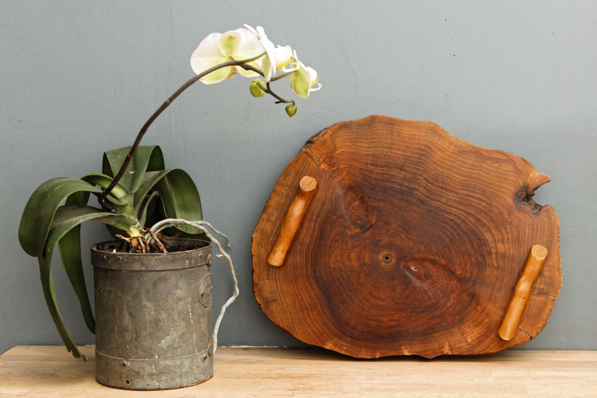Raw wooden cheese platter