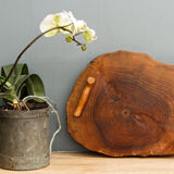 Raw wooden cheese platter