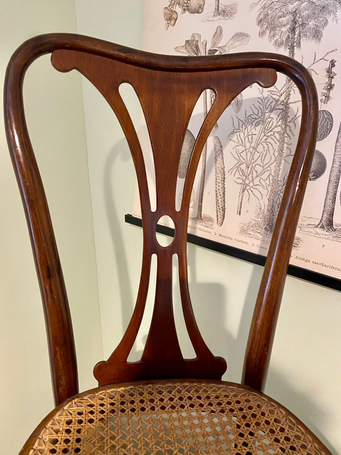 Bistro chair J&J Kohn Austria Art Nouveau canning and bentwood