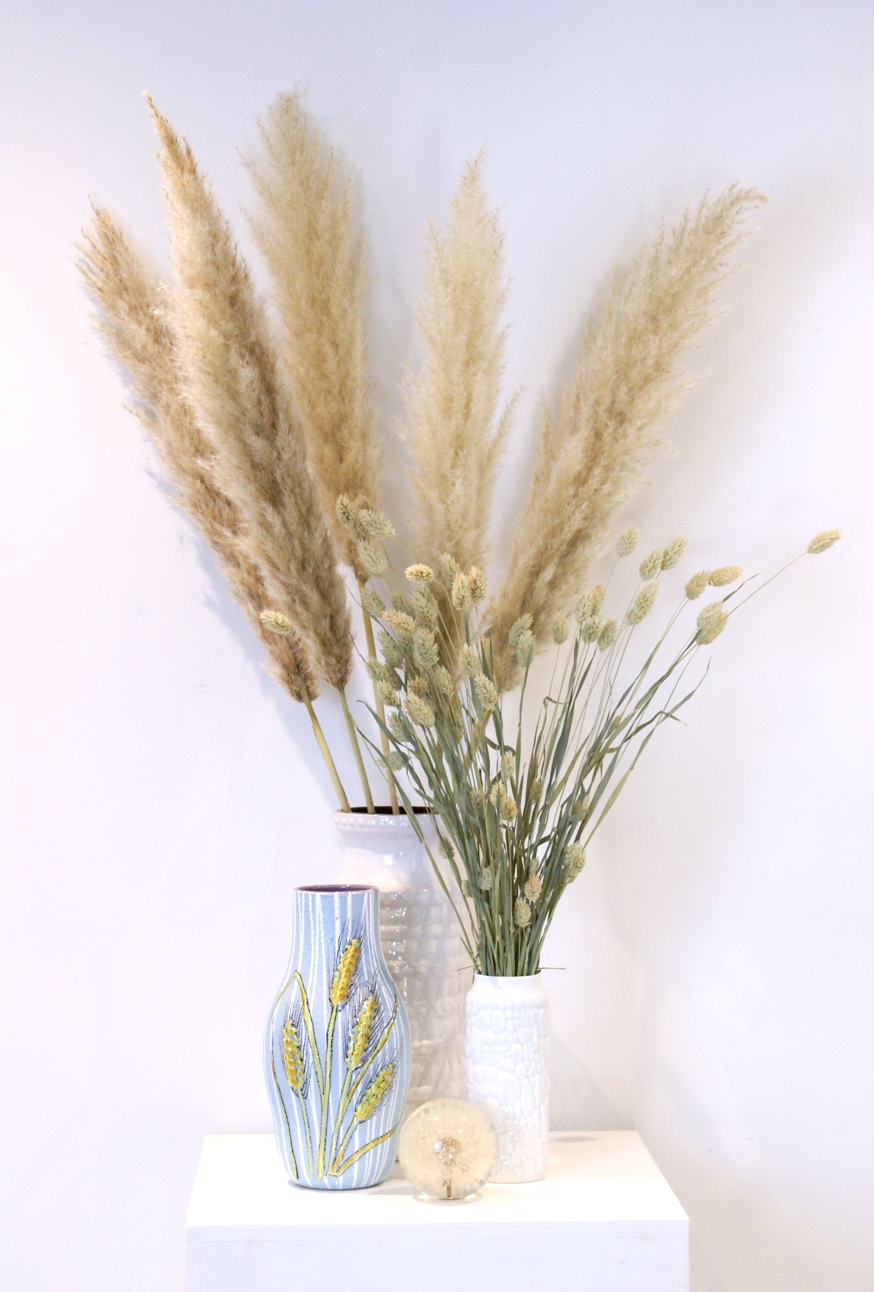 Vase de blé Fratelli Fanciullacci