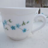 5 tasses Arcopal