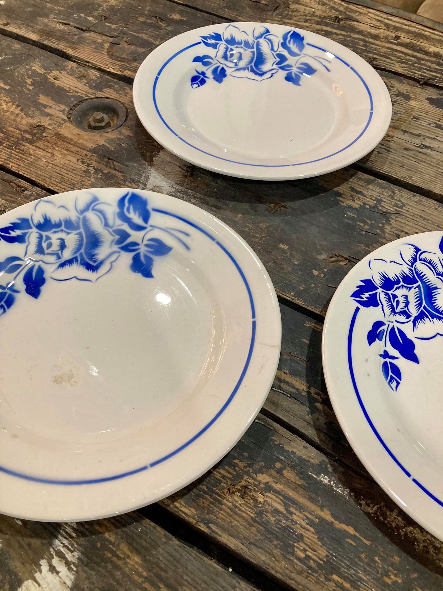 Blue Digoin Sarreguemines Plates
