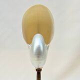 Large pearly Nautilus shell on turned wooden base, old vintage cabinet of curiosities