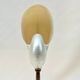 Large pearly Nautilus shell on turned wooden base, old vintage cabinet of curiosities