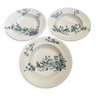 3 Longwy bird soup plates