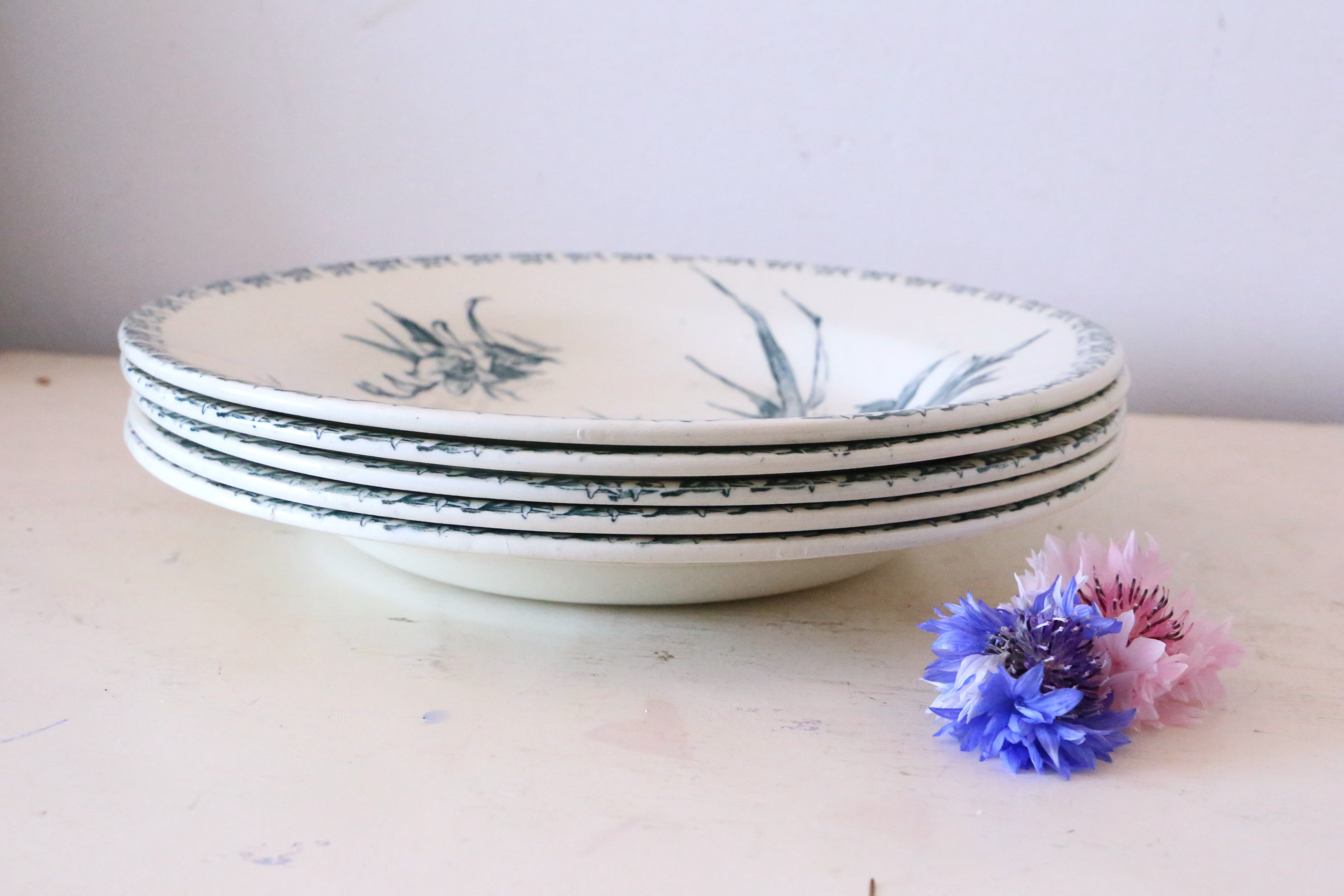 Hollow plates x5, Gien, Glaieul pattern, iron earth