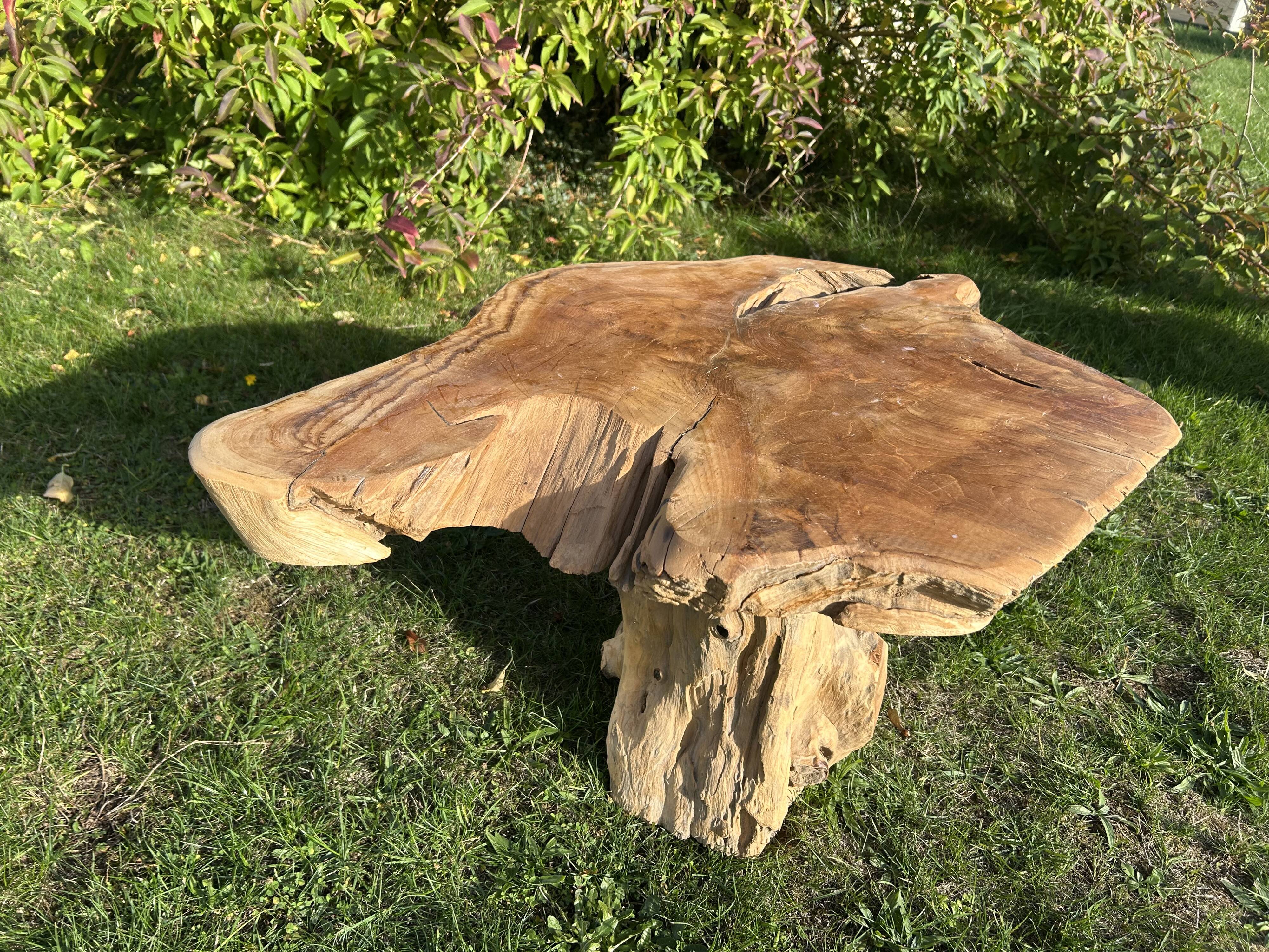 Root sculptural coffee table