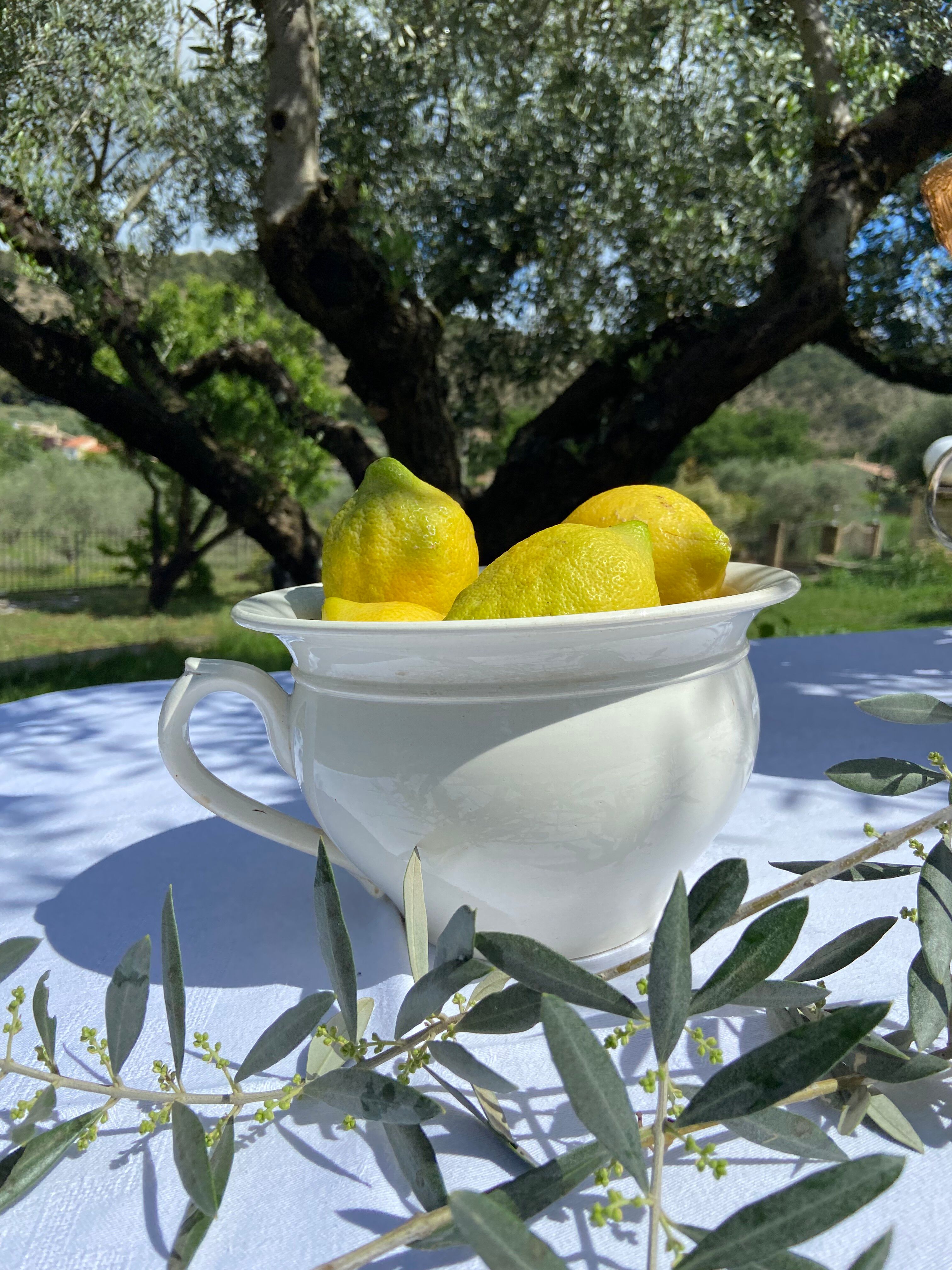 Old Digoin chamber pot in white earthenware – repurposed as a dice bowl.