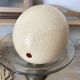 Ostrich egg curiosity cabinet