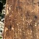 Old wooden farm or workshop table