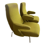 Pair of "Delfino" armchairs by Erberto Carboni for Arflex 19