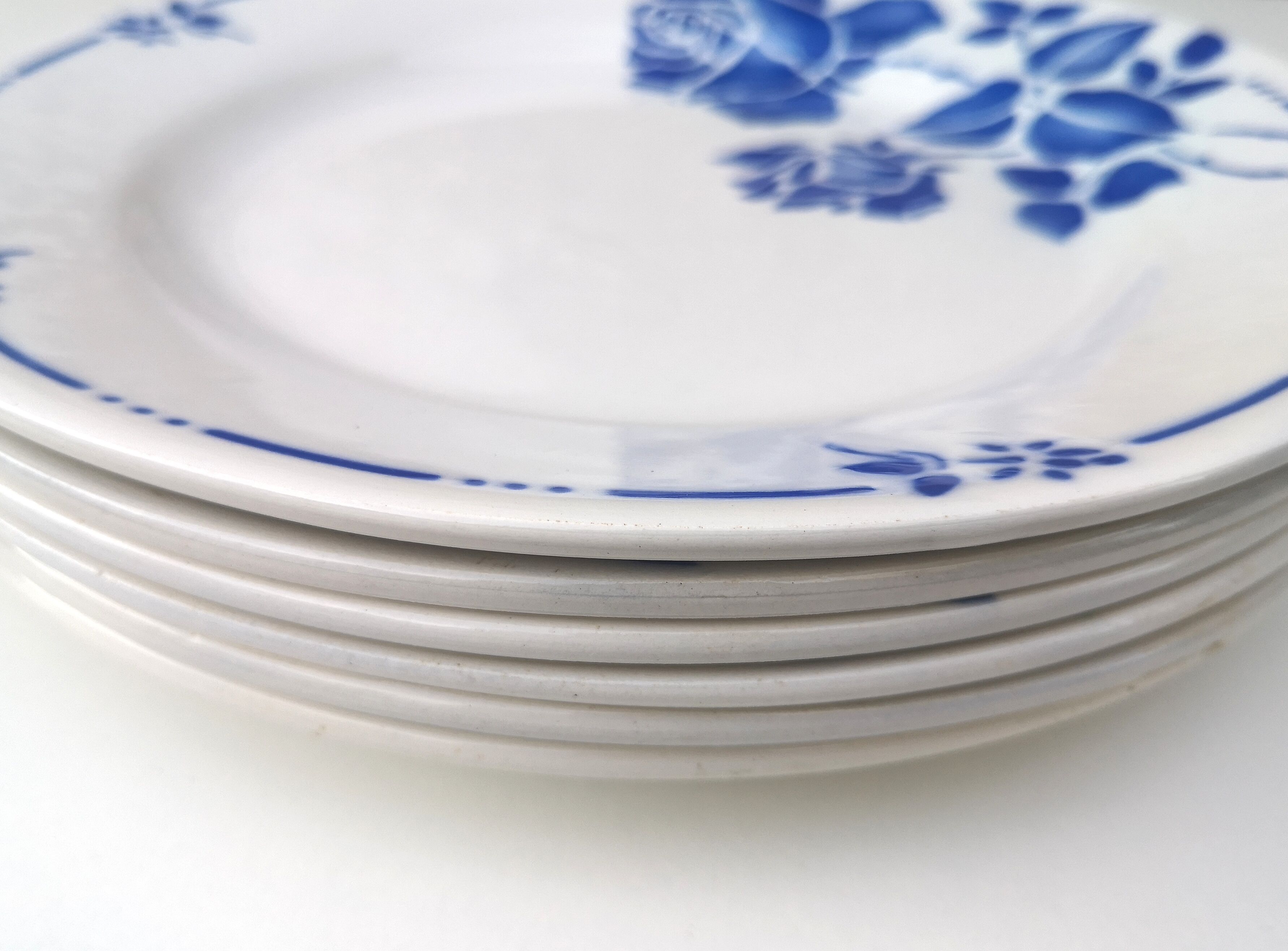 Flat plates Moulin des Loups - St Amand