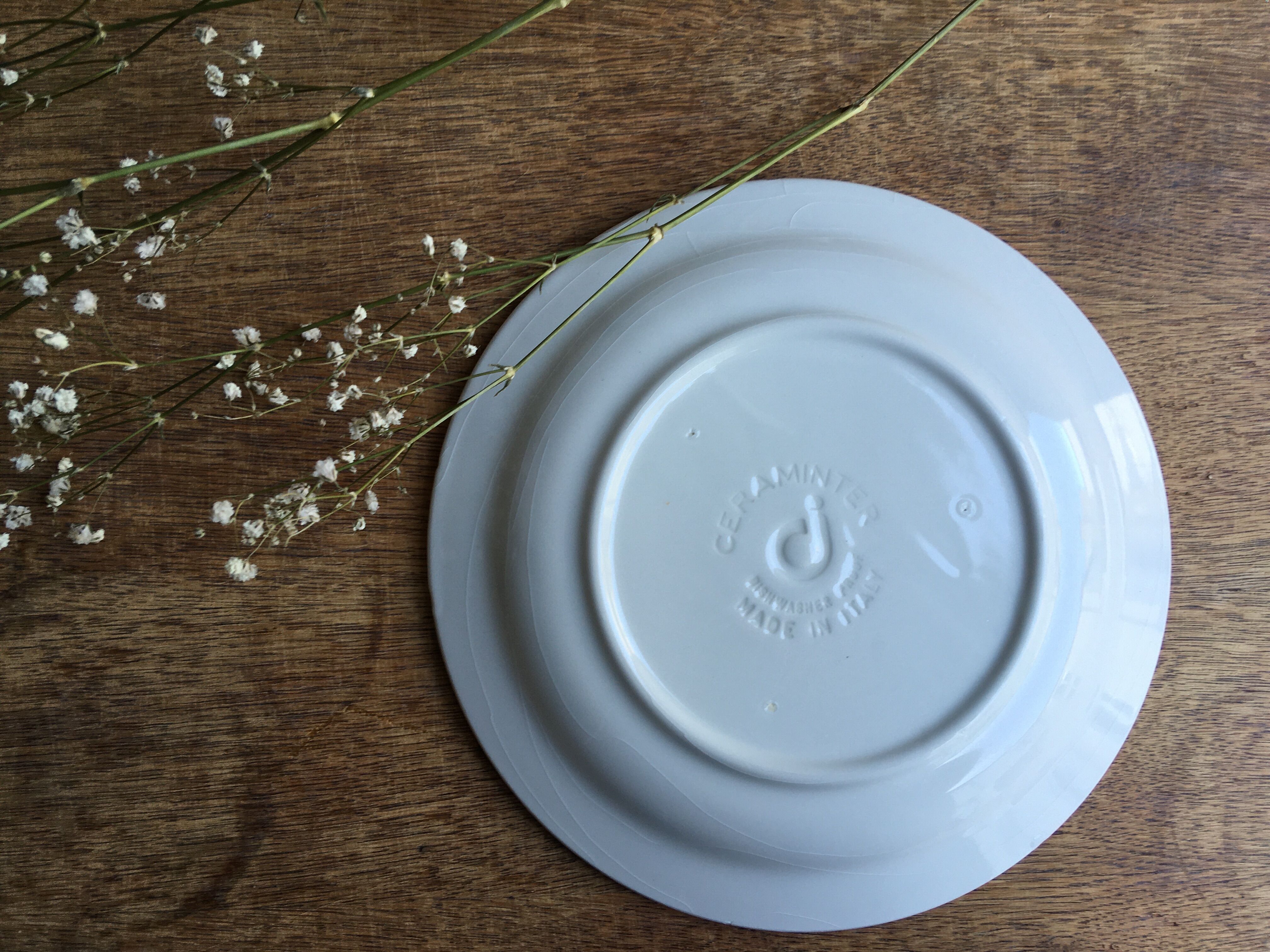 Lot of 10 plates with blue speckled blue Ceraminter