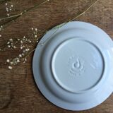 Lot of 10 plates with blue speckled blue Ceraminter