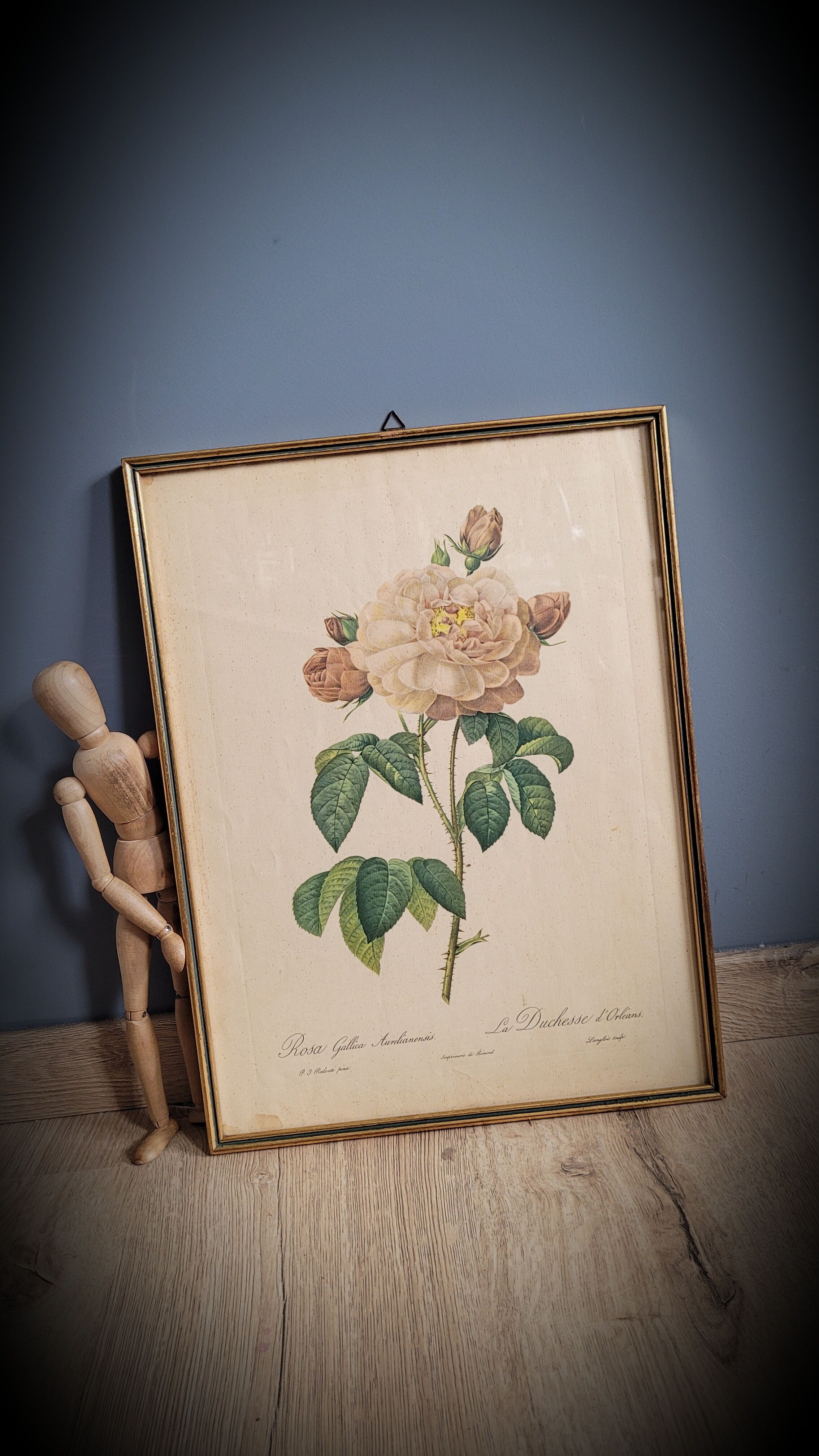 Litho Rosier Duchesse Orléans