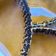 Assiettes à huitres vintage gien