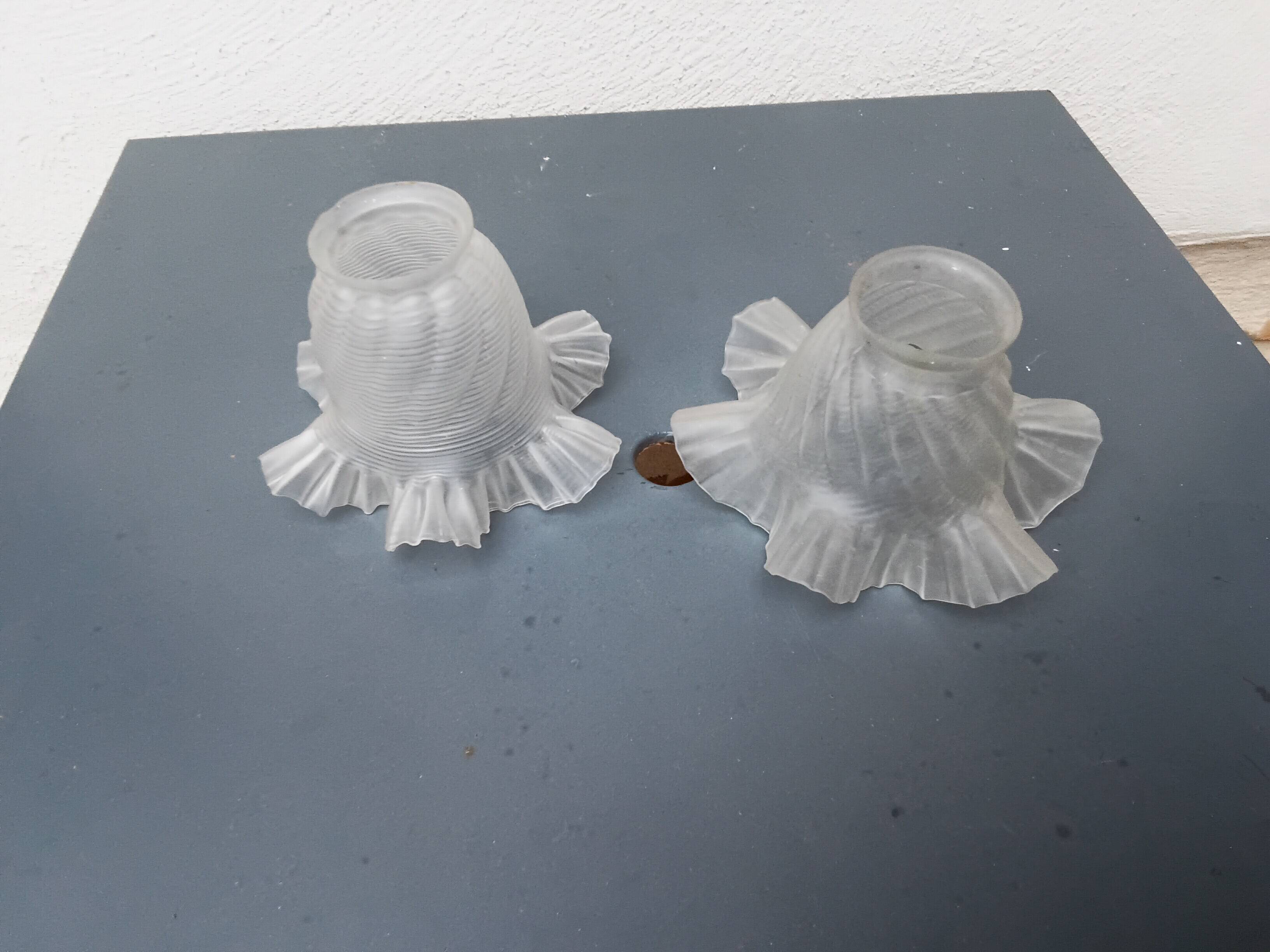 Two mismatched opalines