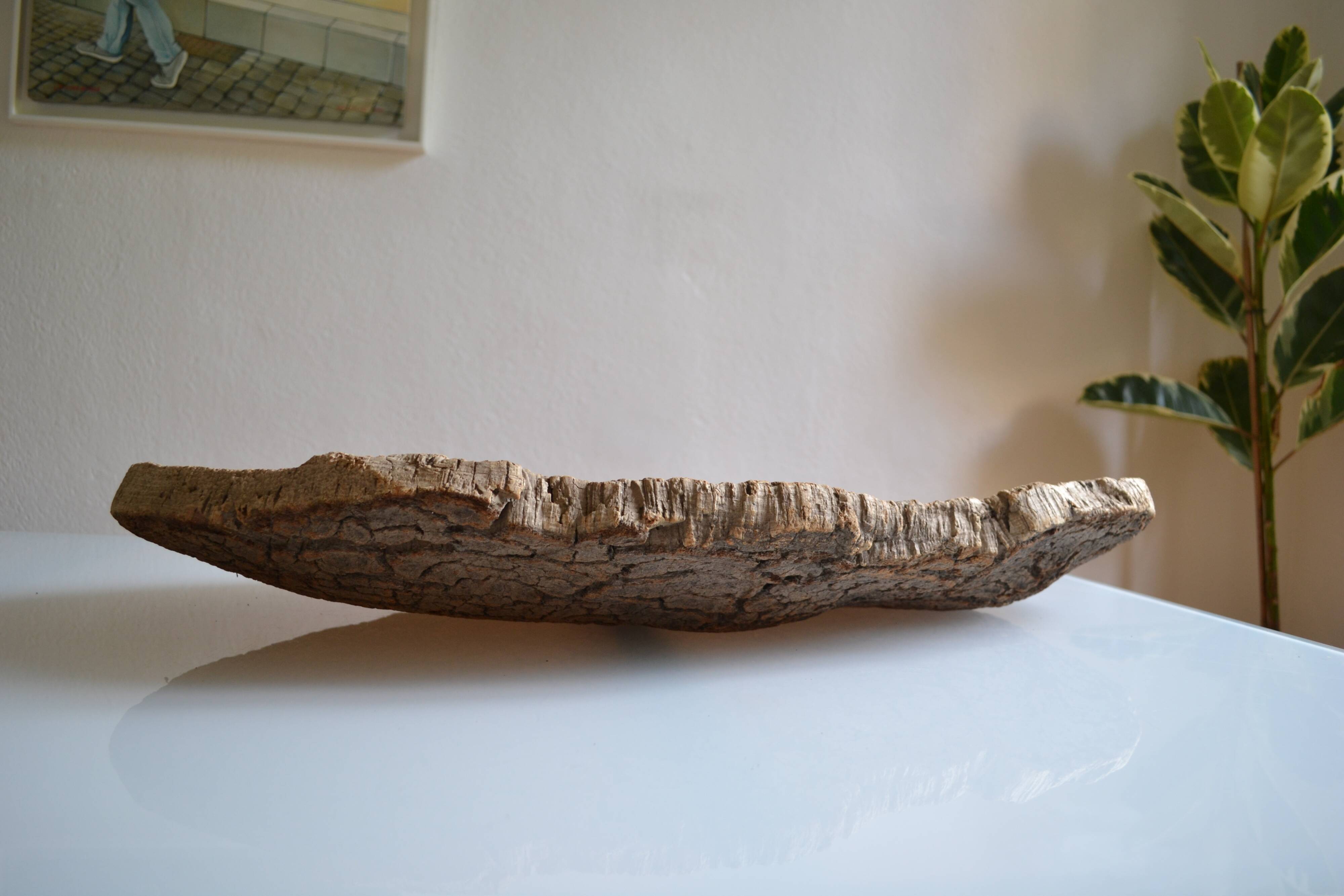 Provençal couasse giant dish in cork oak bark 72 / 37 cm