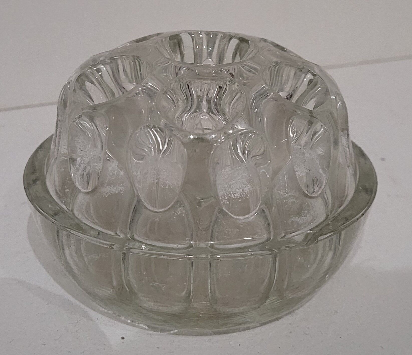 Pique flowers in glass of Reims