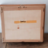 Naturalized butterfly Gambrisius under glass