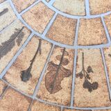 Table basset herbier Roger capron
