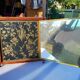 Miroir Triptyque 1876 : L.B
