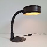 Massive Lighting Vintage Belgian Gooseneck Desk Lamp