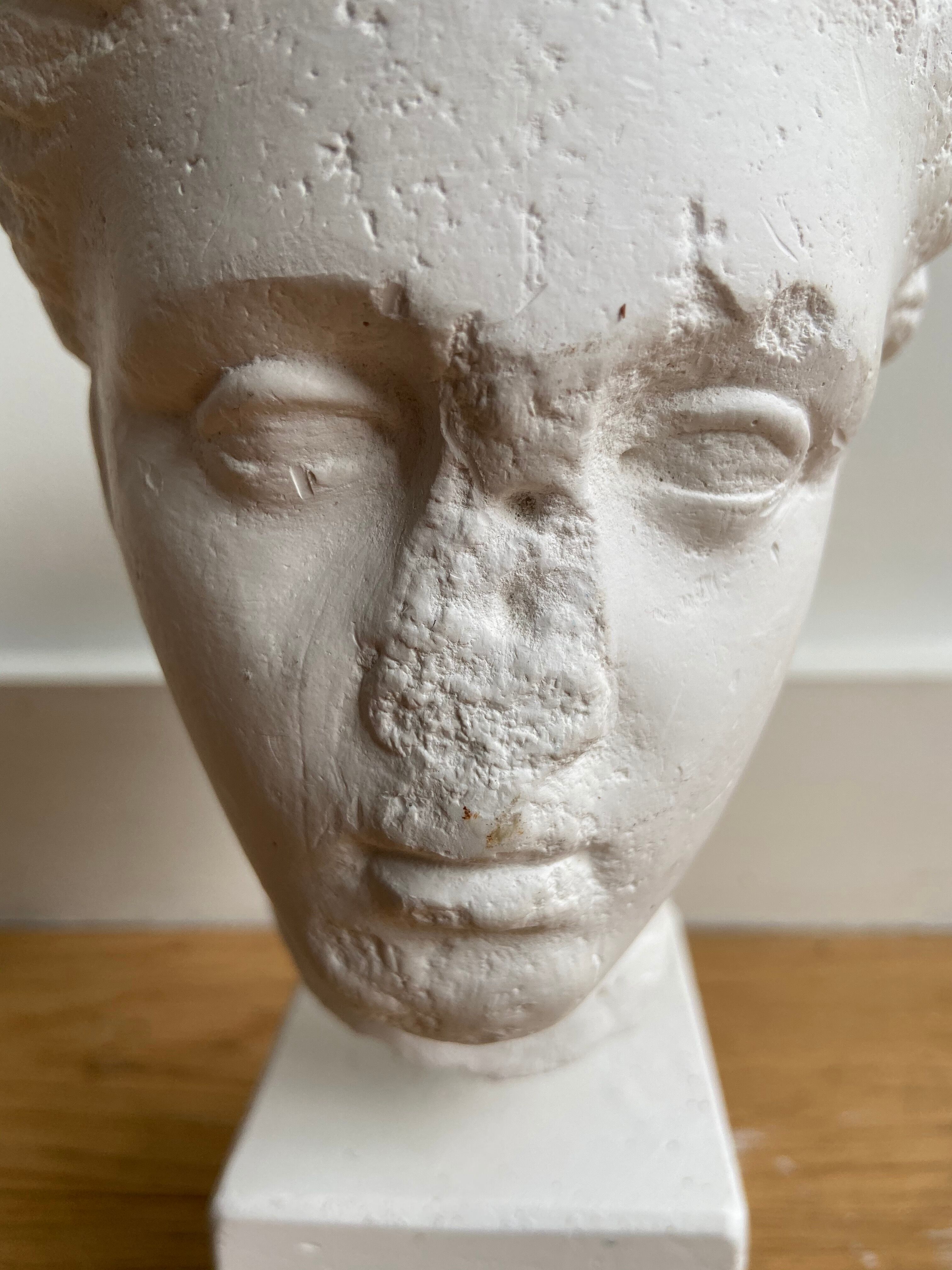 Artemis plaster head
