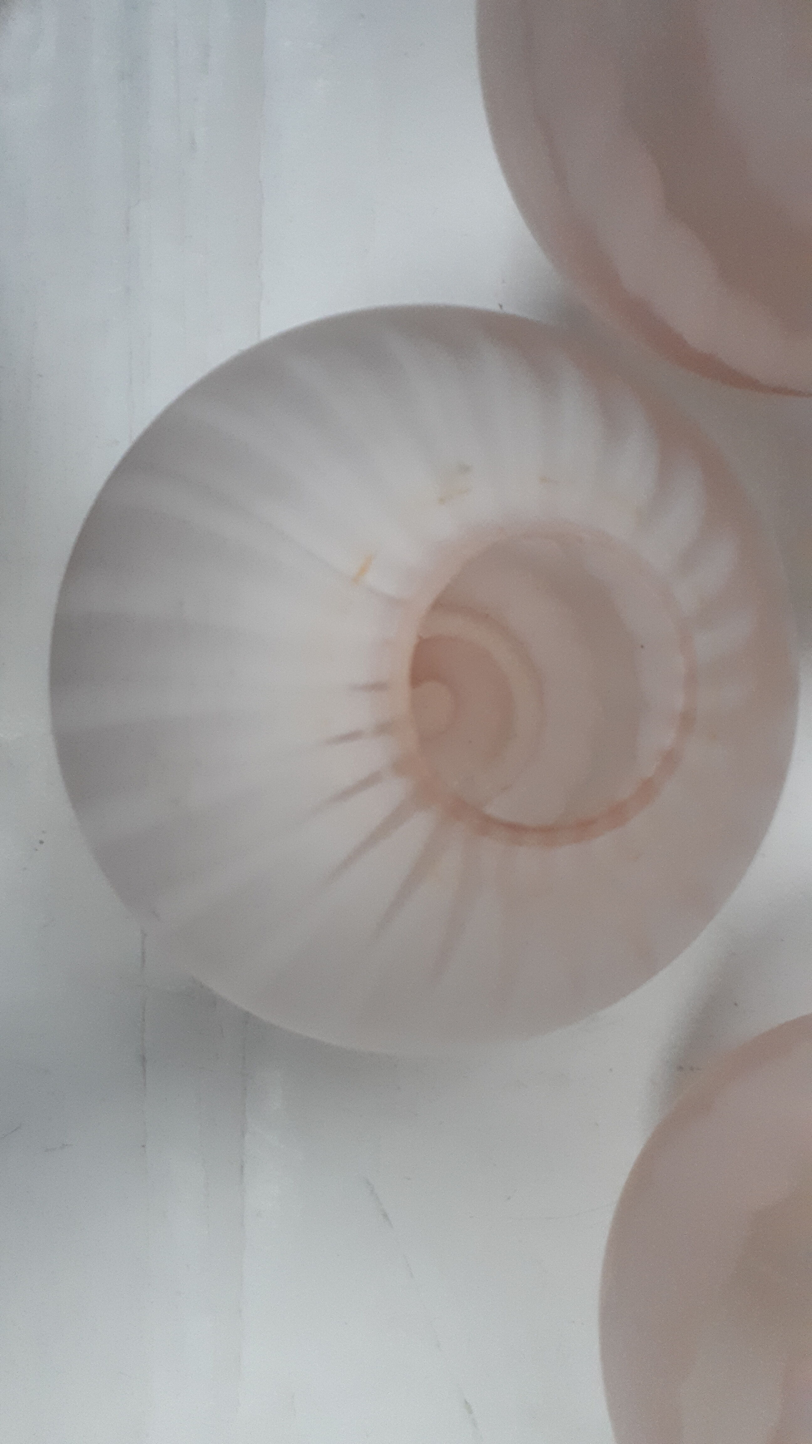 Lot of 4 globes vintage glass opaline 1960 pink