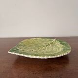 Cabbage leaf dish with slushie