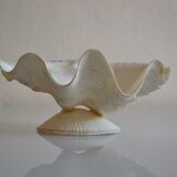 Clam shell in empty pocket