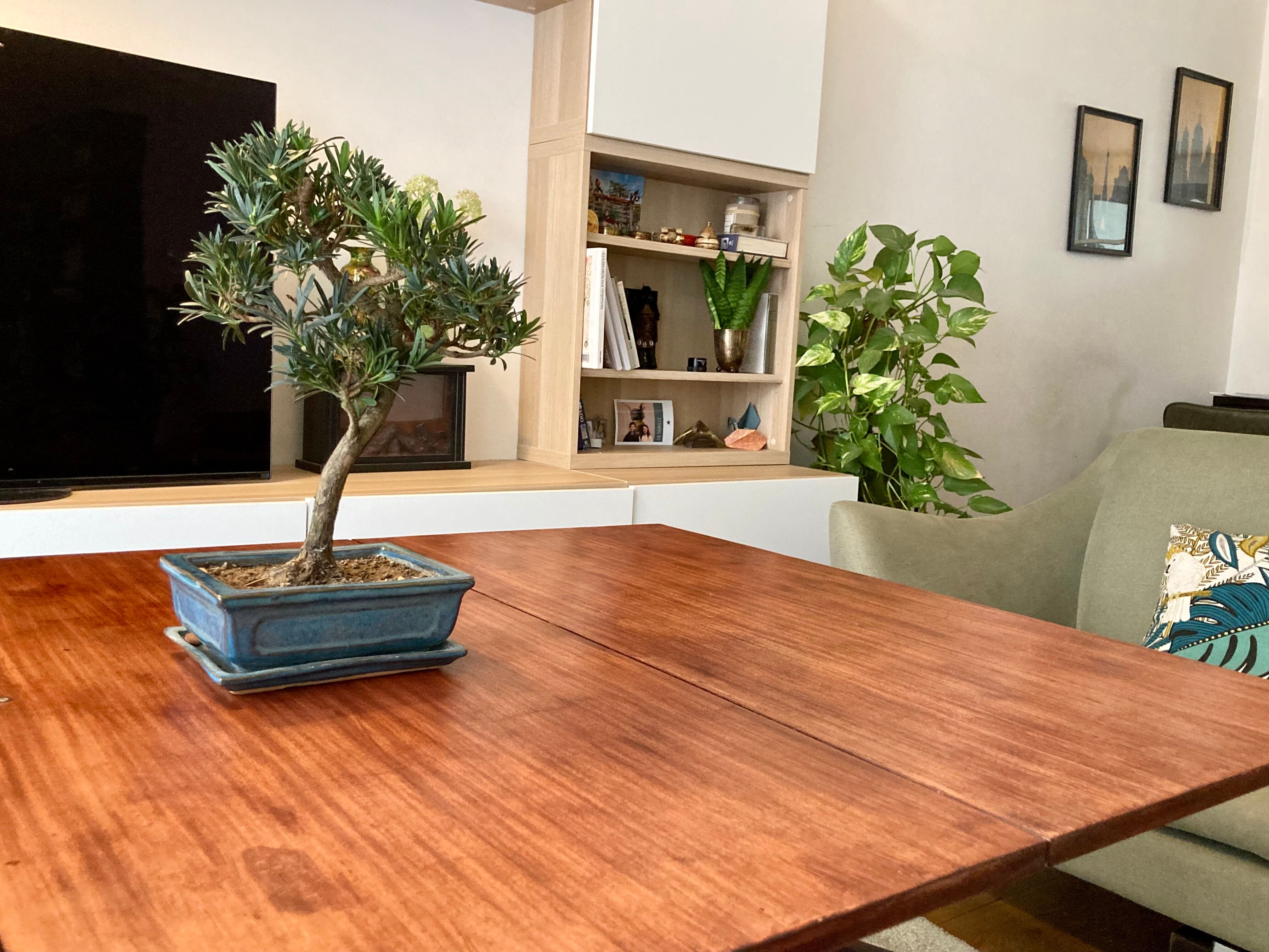 Transformable coffee table - A. Ducrot