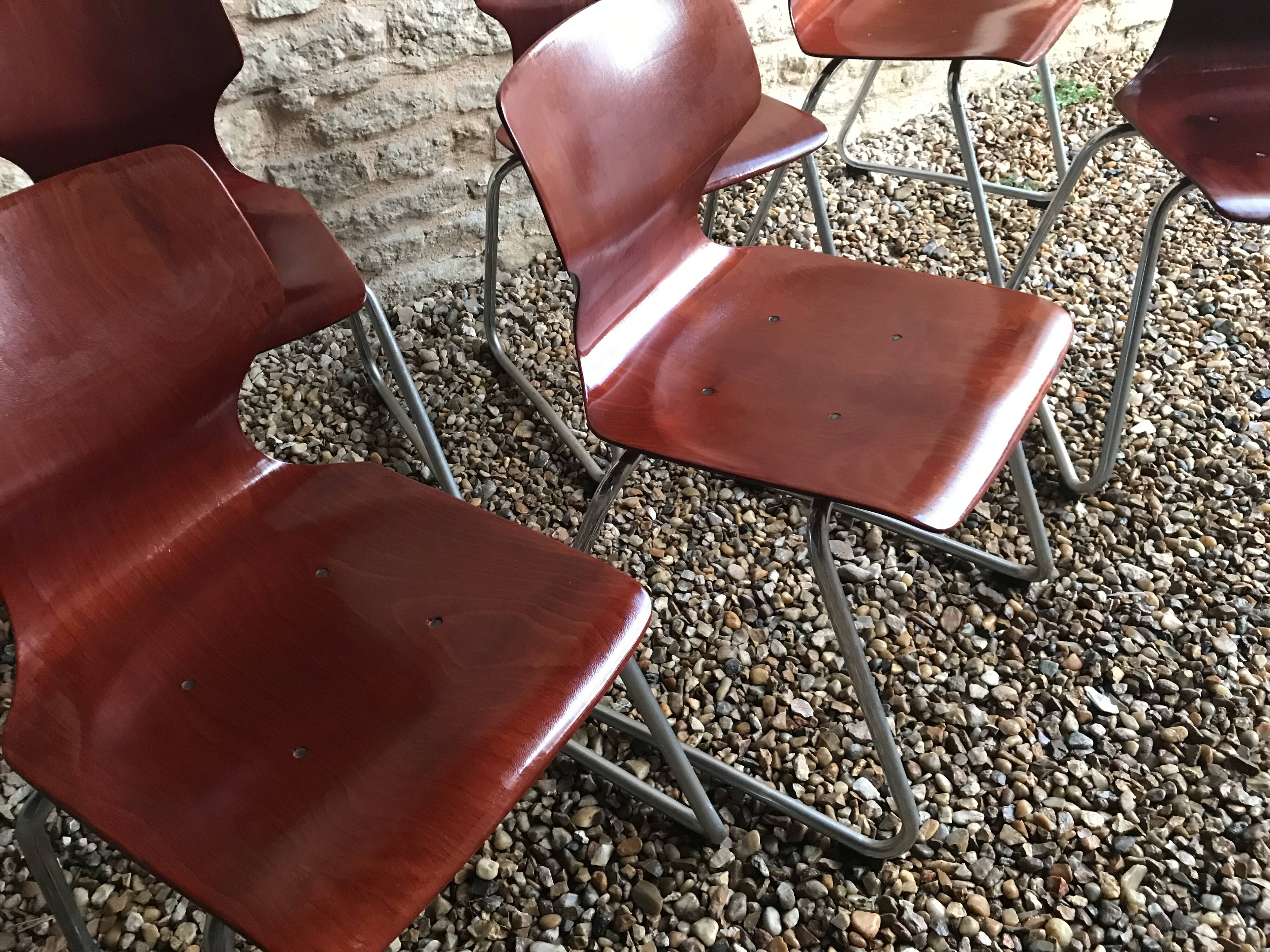 Set of 6 vintage Pagholz Flötotto stackable chairs in Pagwood