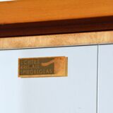 Vintage 1950s wardrobe / storage unit