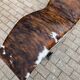 Cassina LC4 Le Corbusier original (signed) in cowhide, in new condition.