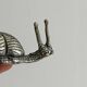 Snail salt or pepper shaker
