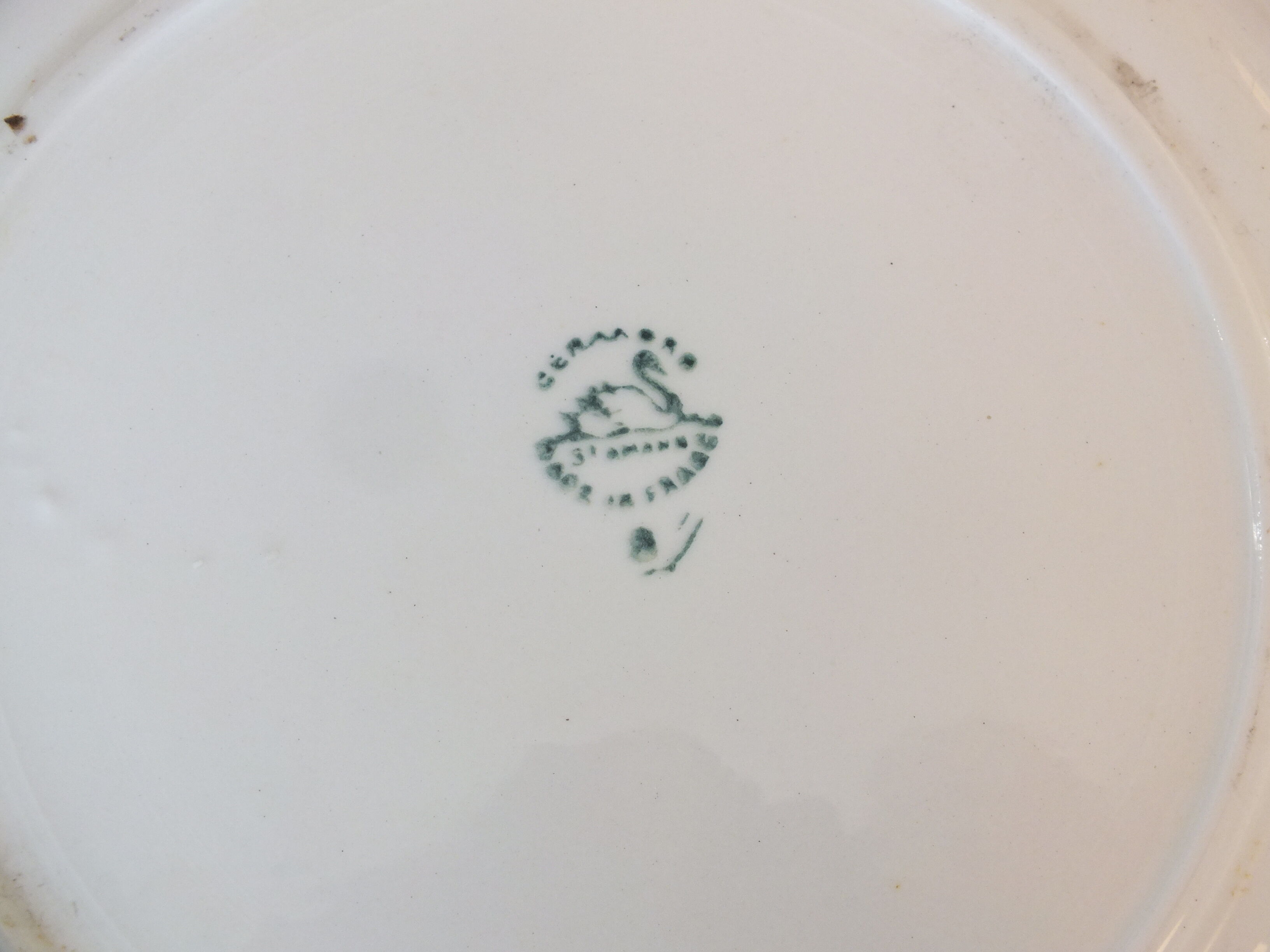 + 6 flat plates Céranord - Saint Amand model Eglantines Lot 2 +