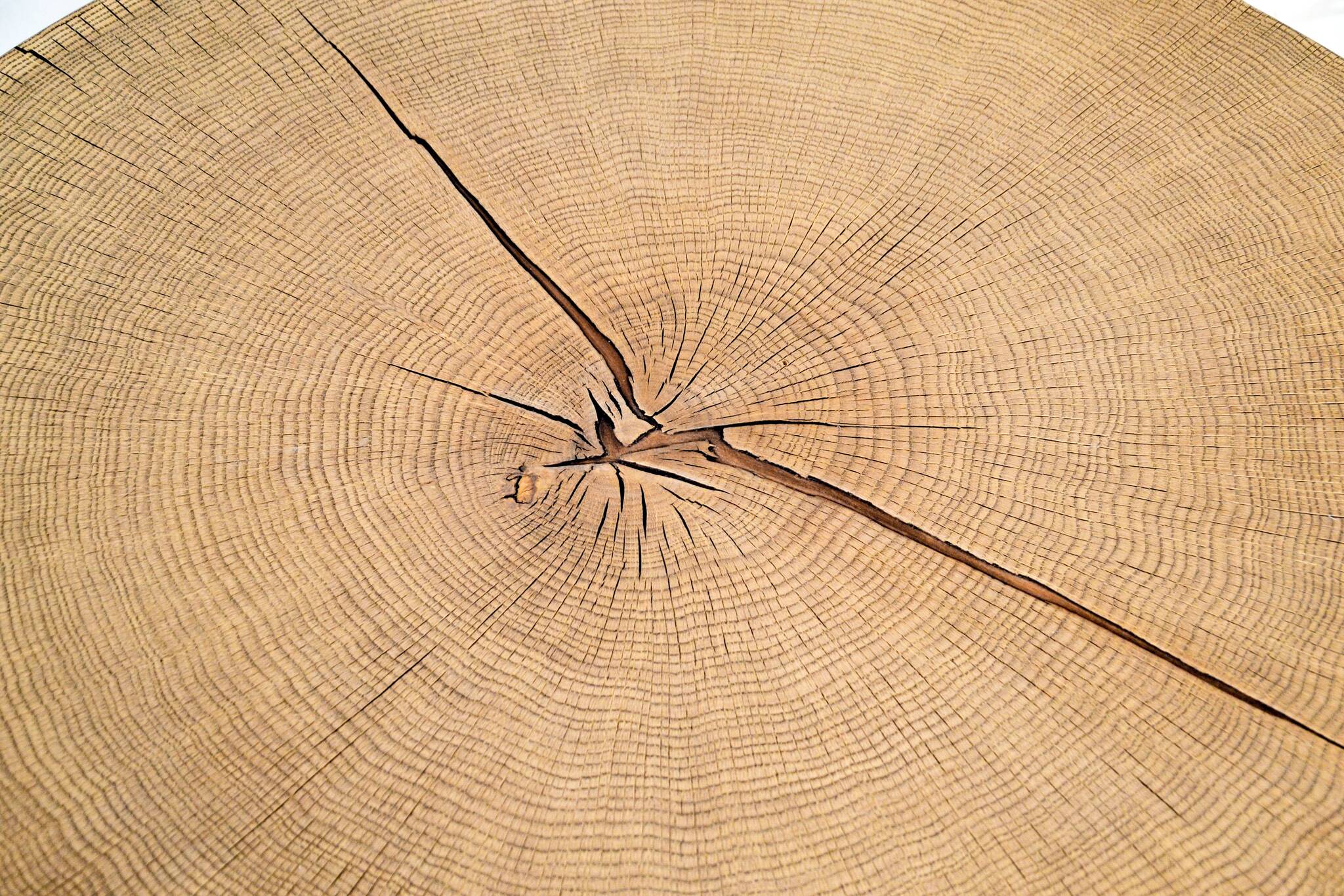Wooden coffee table, round, oak trunk