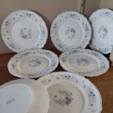 Series 10 flat plates Arcopal, white opaline with blue flowers