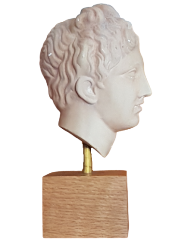 Head to the antique plaster