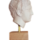 Tête à l'antique en plâtre