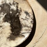 Very large empty pocket or petrified wooden flat