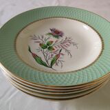 Ensemble de 6 assiettes creuse Orchies Moulins des Loups