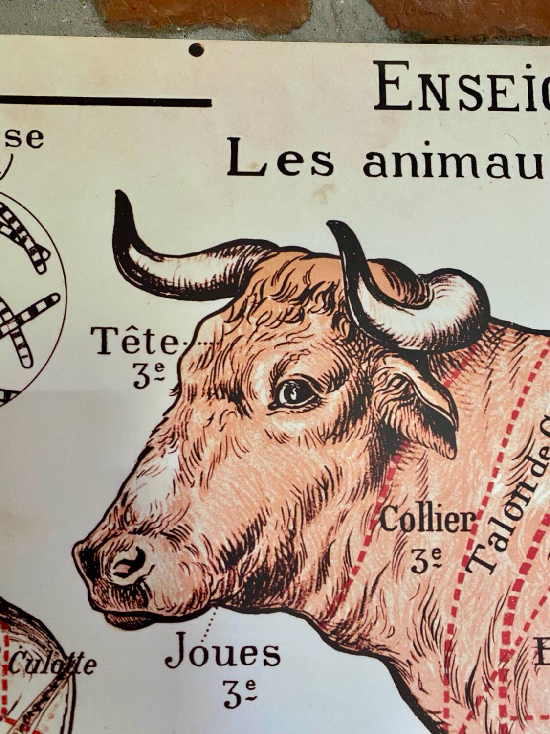 Butchery poster (reissue)