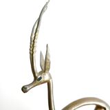Gazelle brass, 50 years
