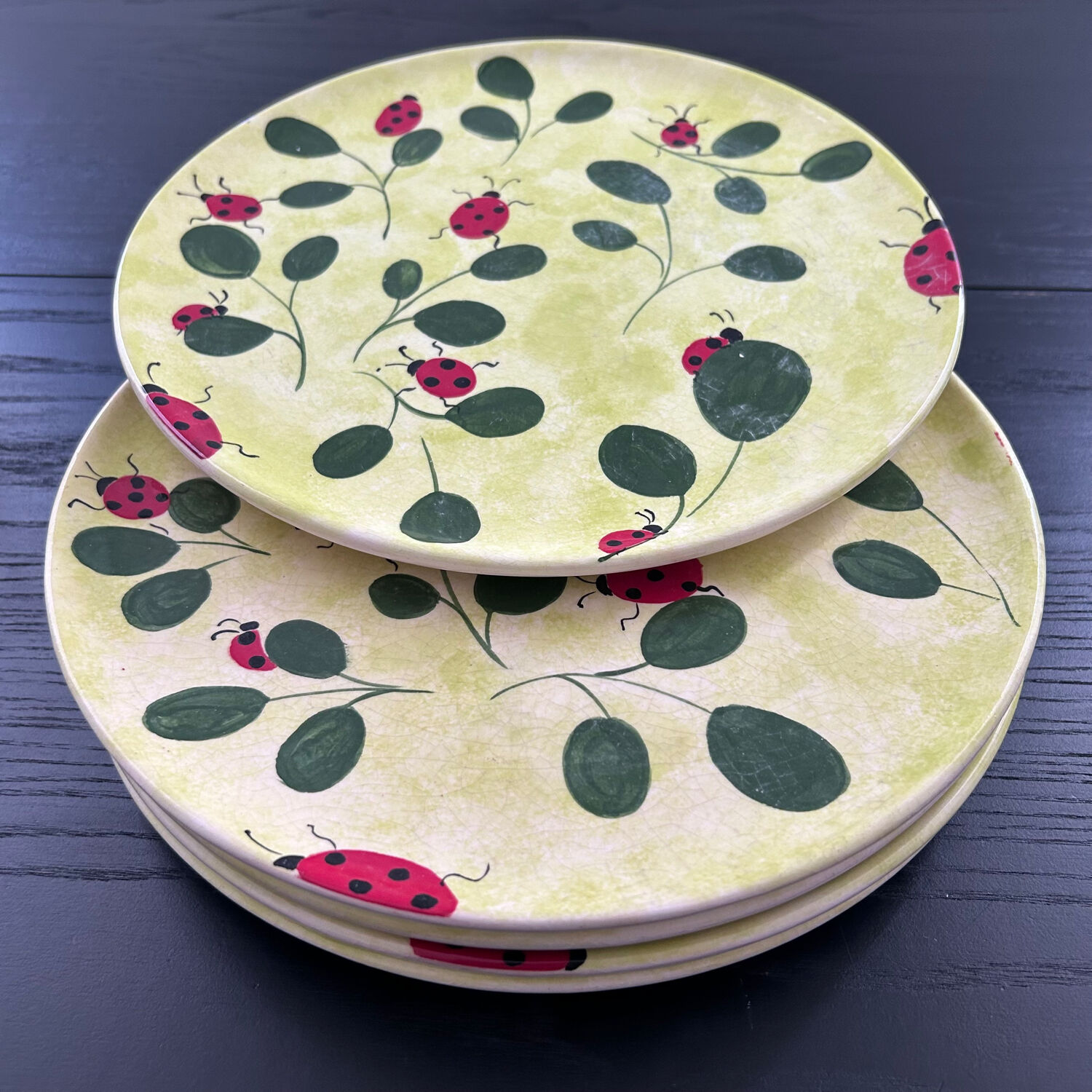 Service de 5 assiettes décor coccinelles