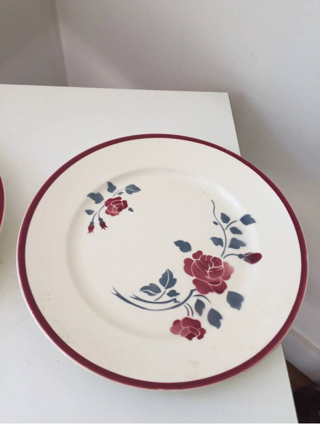 Badonviller Rosador flower dinner plates