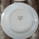 8 mismatched antique dinner plates